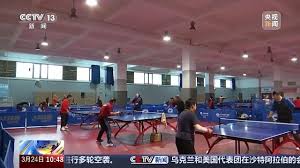 2026年世界杯官网 乒乓球台长度宽度各是多少